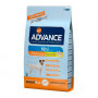 Advance Mini Adult