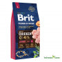 Brit Premium Junior L