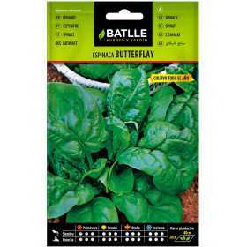 ESPINACA BUTTERFLAY 15GRS Semillas de Espinaca Butterflay