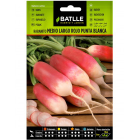 RABANITO MEDIO LARGO ROJO PUNTA BLANCA 15GRS