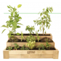 Cajón de Cultivo Stairs Hortalia - Madera de Pino