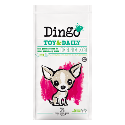 Dingo Toy&Daily