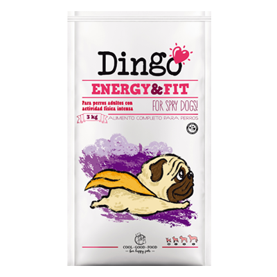 Dingo Energy&Fit