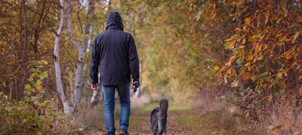  Consejos útiles para pasear mejor a tus perros