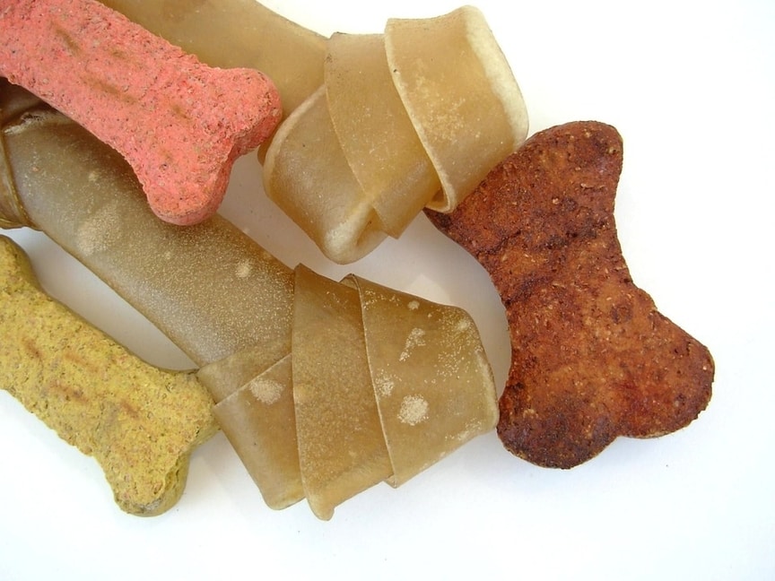 Snacks para la limpieza de los dientes de perro