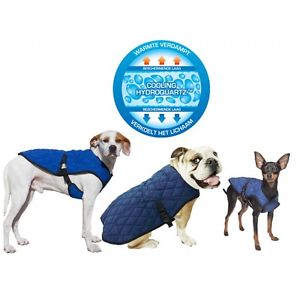 productos para evitar golpes de calor en perros