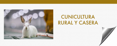 Cinicultura rural | Cria de conejos | Criar conejos en casa