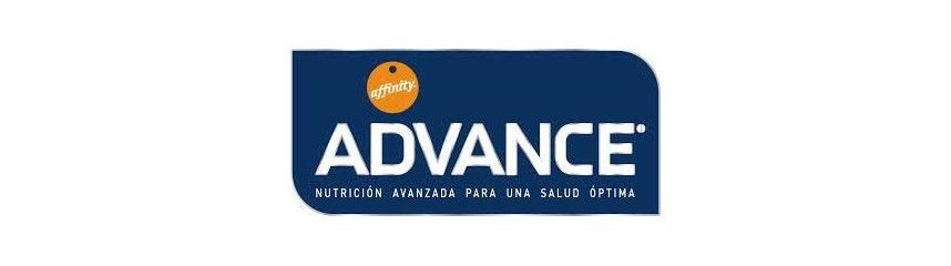 Advance